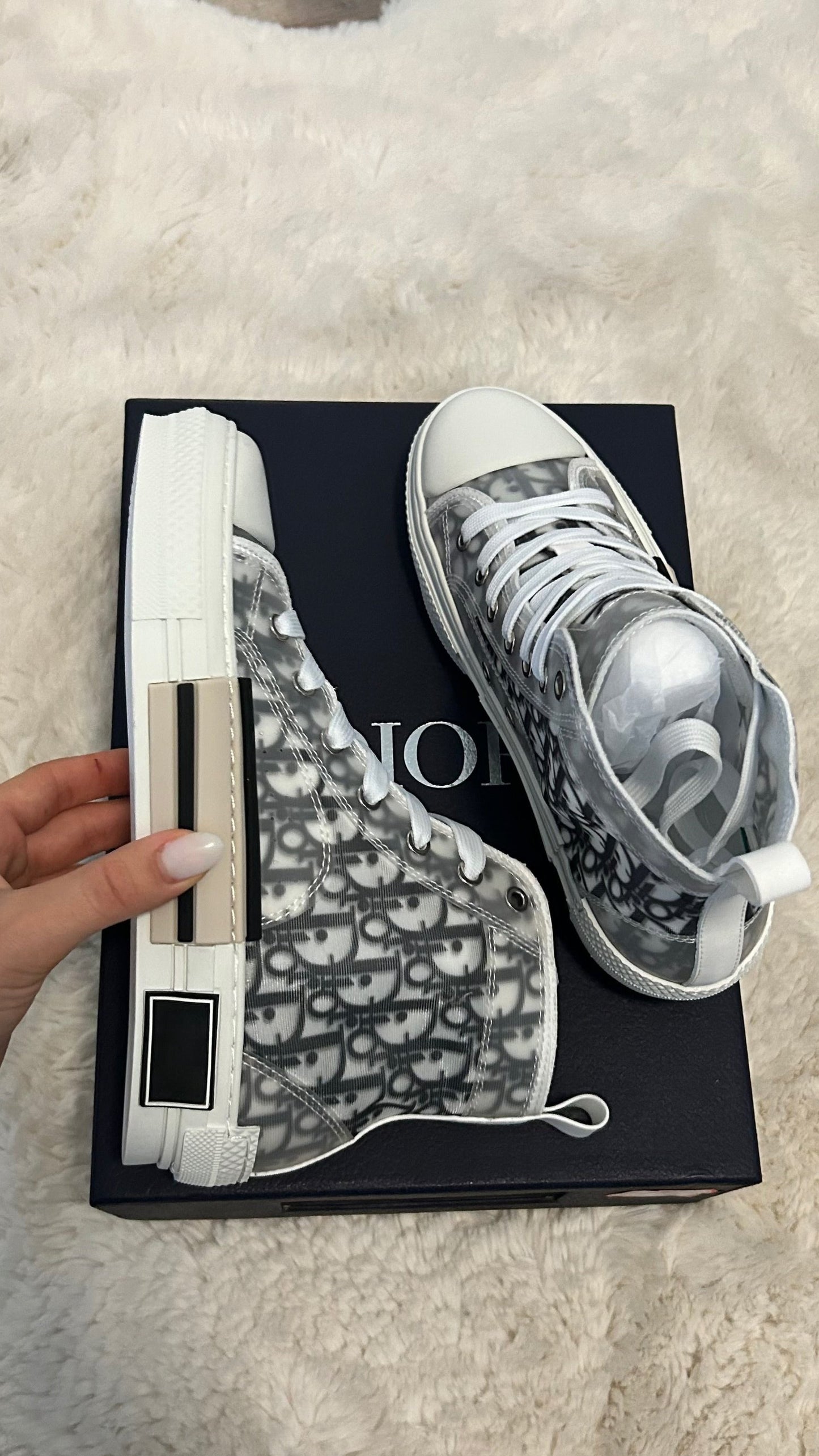 Dior B23 Hightop Sneakers