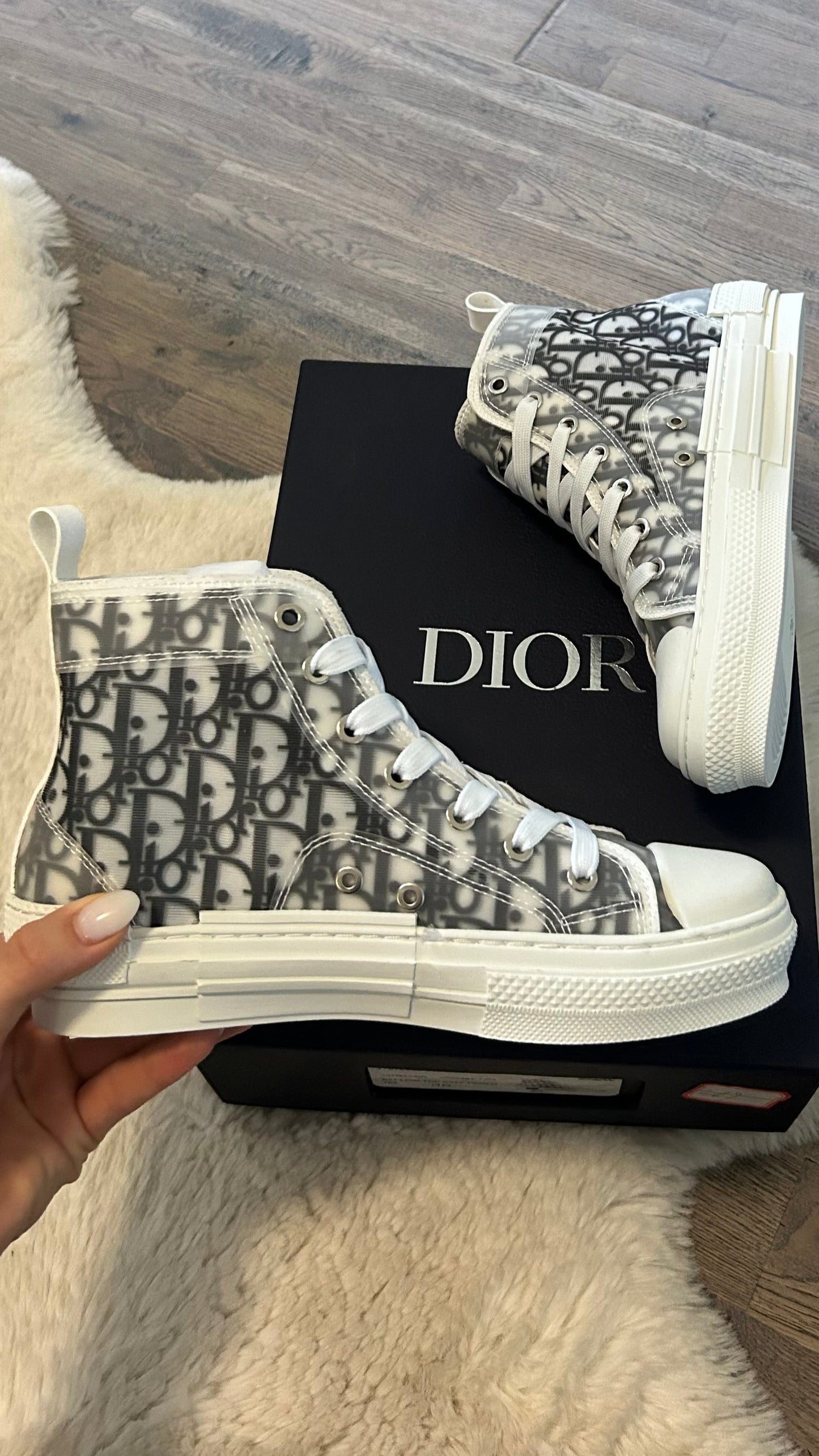 Dior B23 Hightop Sneakers